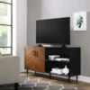 Angelo Modern 2 Door Bookmatch TV Stand For TVs Up To 65" - Saracina Home 2 Angelo Modern 2 Door Bookmatch TV Stand For TVs Up To 65" - Saracina Home -Saracina Home GUEST 7ce1a81b 967b 4912 b789 336573ec44ad